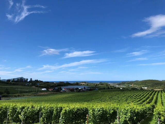 余市ニシンの切り込み風