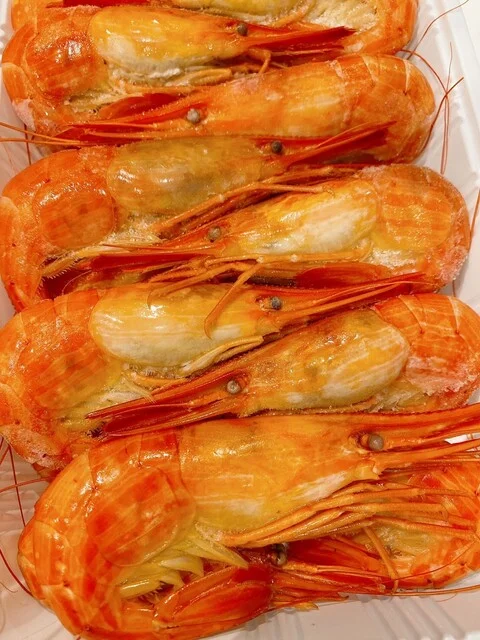 厚岸産の北海シマエビ