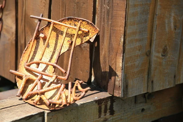 タカラのヤッコ