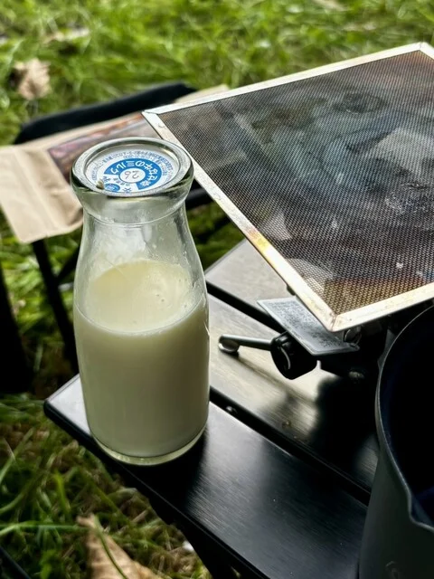 タカラのムスヒ