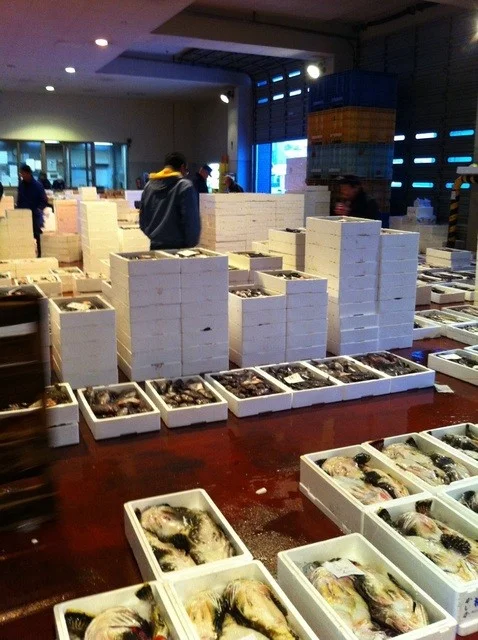 根室・紋別・小樽一番セリ直送