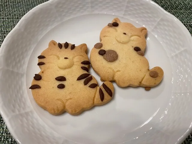 動物クッキー ネコ