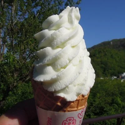 スノーショット メロン