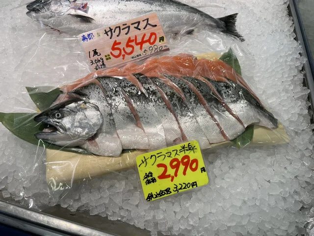 サクラマス半身