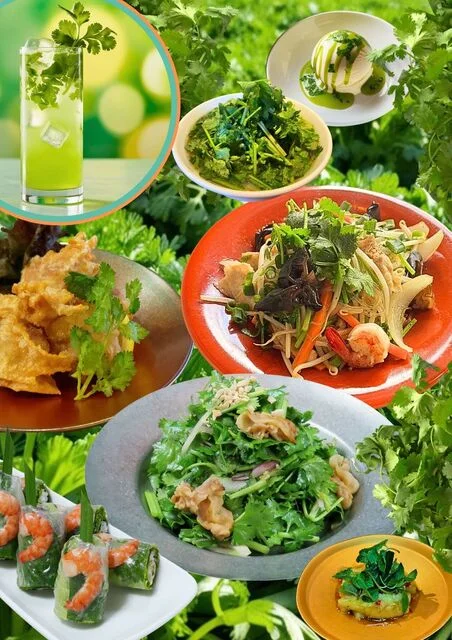 パクチーコース