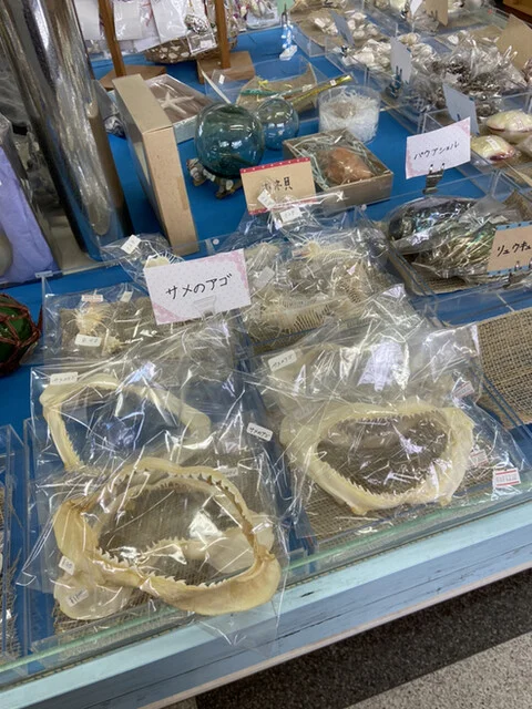 ソフトクリーム