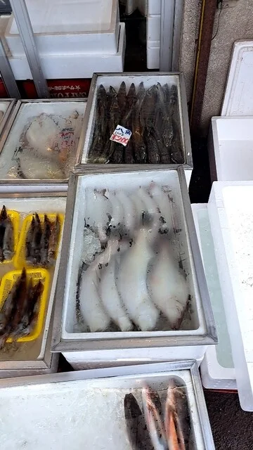 旬の魚介