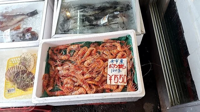 店頭の新鮮な魚介類