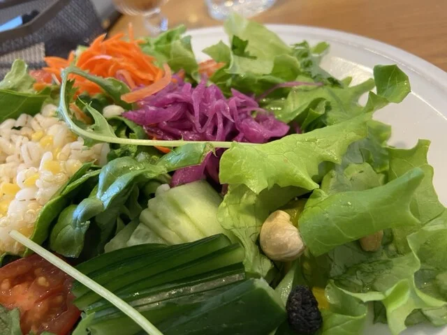 ホリスティックビオカフェ ベジーウェイ｜札幌円山の人気ヴィーガンカフェ完全ガイド【2025年最新】