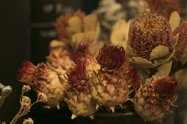 ドライフラワー販売