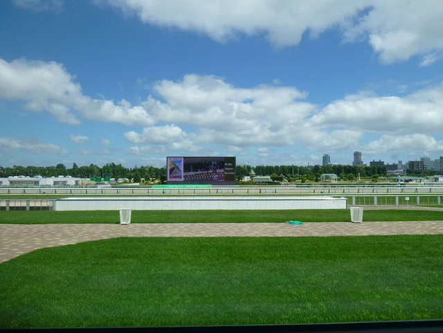 競馬場のコース