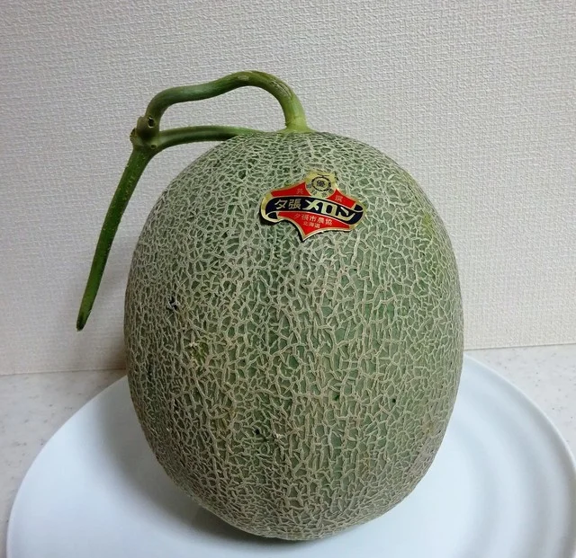 夕張メロン断面