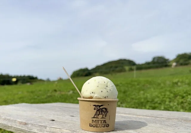 らいでんメロンとグリーンキウイ