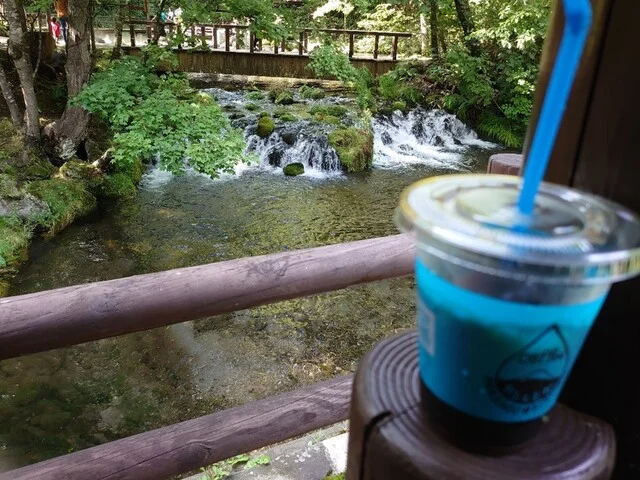 季節限定プリン