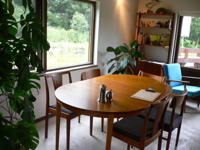 プレーンベーグル