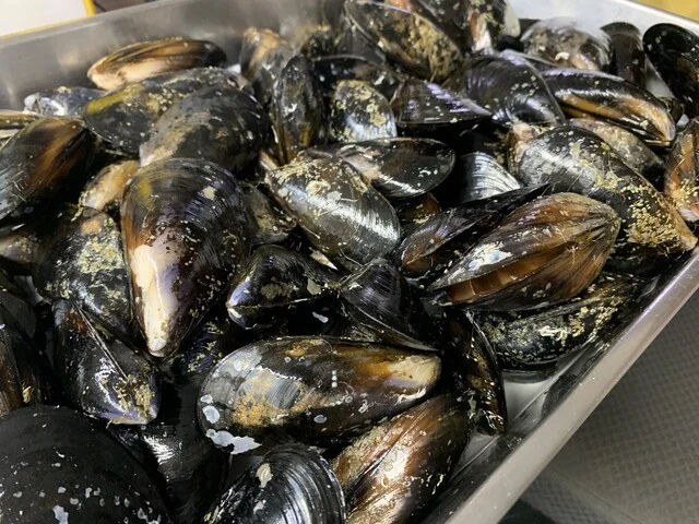 ワインセレクション