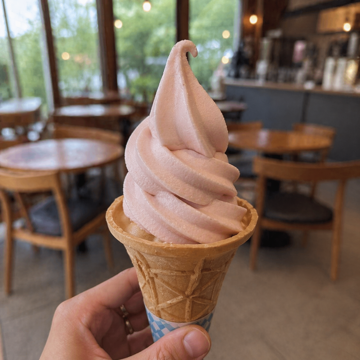 料理イメージ