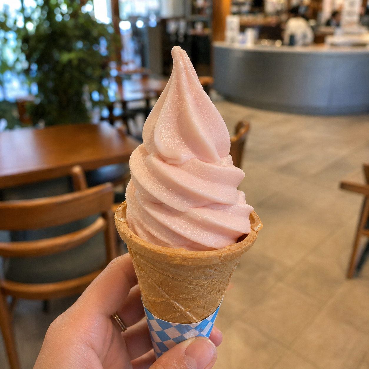 料理イメージ
