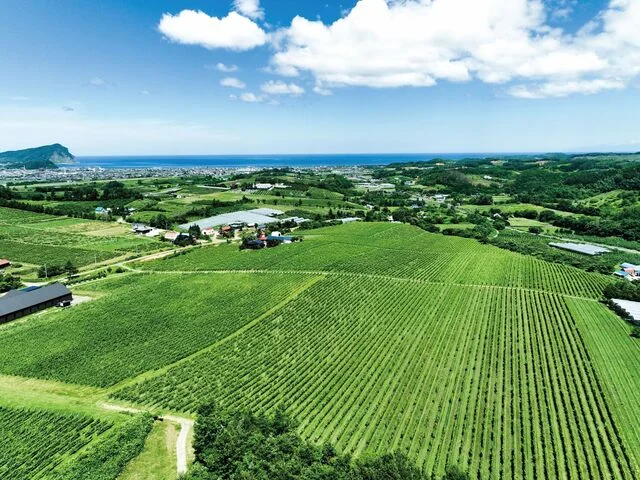 エゾシカのロースト