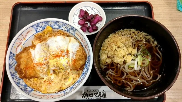 ひれかつ丼＆ミニそば