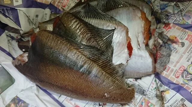 ふっくらとした魚