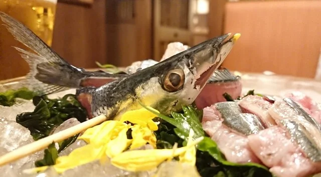 四季彩 札幌駅前店｜完全個室で北海道海鮮を堪能！駅徒歩2分の創作和食居酒屋