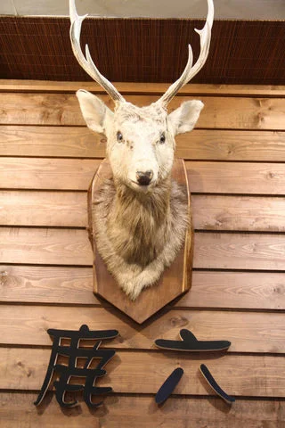 エクストラコールド