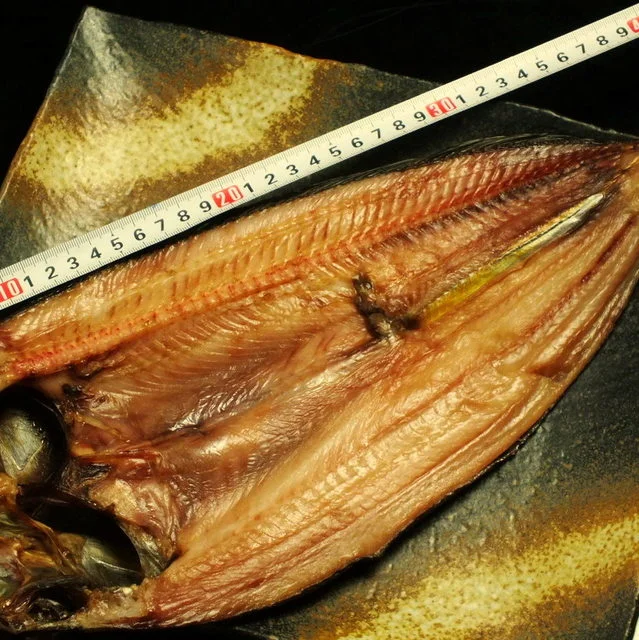 羅臼産40センチオーバーほっけ