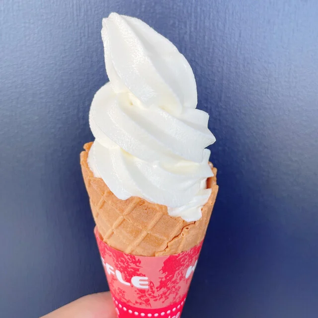 展望台からの眺め