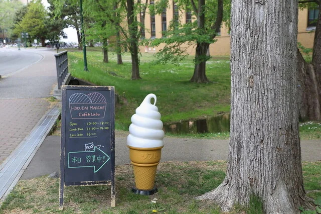 北大マルシェ Cafe&Labo｜札幌・北大構内で貴重な北大牛乳を味わう【完全ガイド】