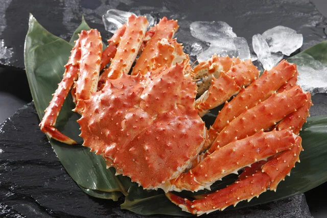 浜っ子 読売北海道ビル店｜札幌駅直結・羽幌直送海鮮と名物カキ田楽【創業53年】