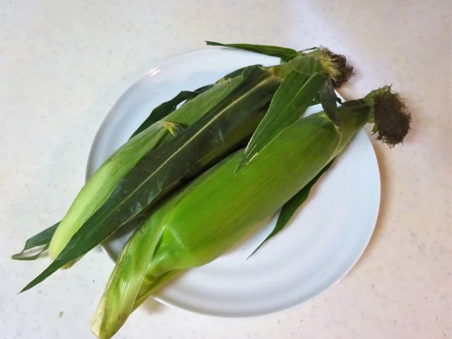 とうもろこし（味来）