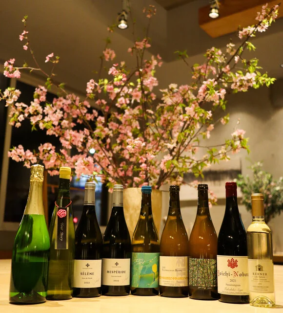 極上体感コース