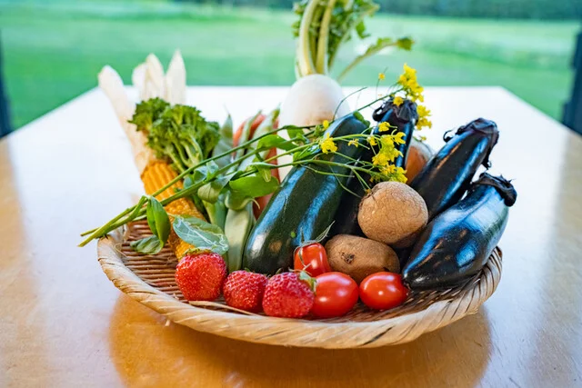 ニセコでと採れた新鮮な野菜