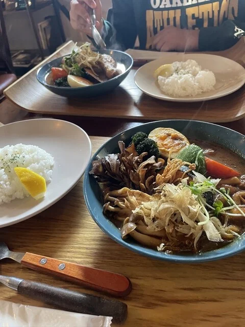 ニセコ名水豆腐のスープカレー