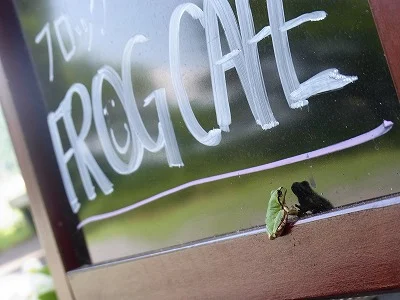 田口珈琲店（【旧店名】フロッグ カフェ） - 登米市その他（カフェ）の写真