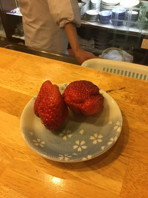 季節料理 花こま - 本八戸（居酒屋）の写真