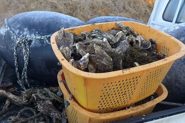 明神崎荘 - 志津川（旅館・民宿）の写真
