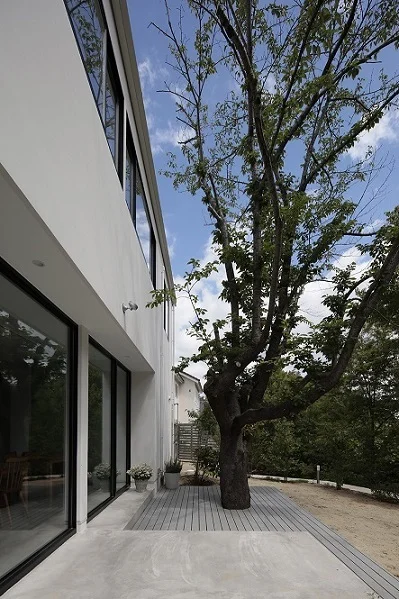 喫茶と食事 みどり - 黒松（カフェ）の写真