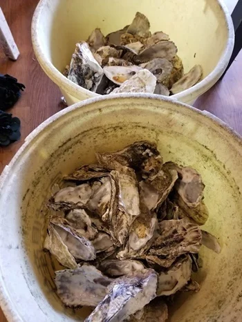 塩竈かき小屋 本店（塩釜かき小屋） - 東塩釜（シーフード）の写真