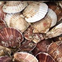 みなさん館 - 歌津（食堂）の写真