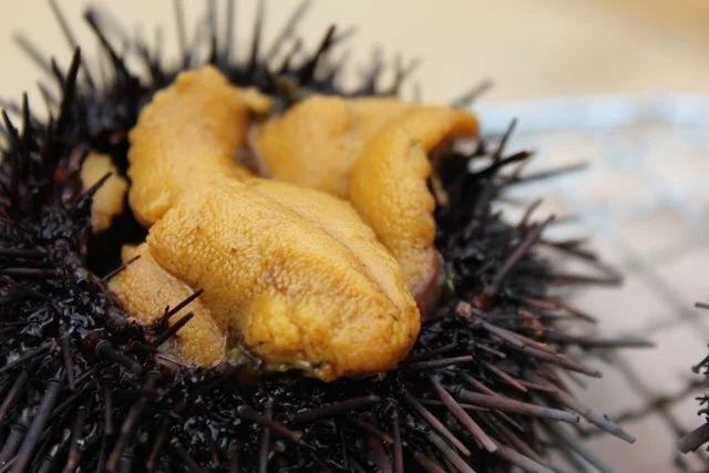 みなさん館 - 歌津（食堂）の写真