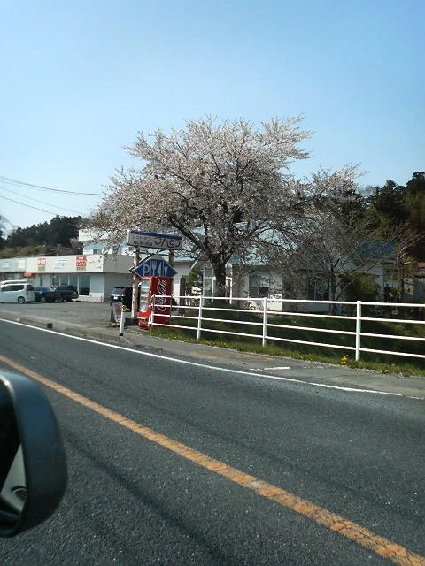 レストランこんとう - 登米市その他（食堂）の写真