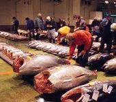 うまい鮨勘 別館 鮨正（うまいすしかん） - 青葉通一番町（寿司）の写真