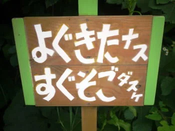 ぷちぶろう - 十和田市その他（ケーキ）の写真