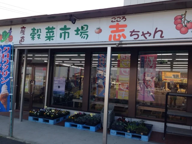 志ちゃん - 塚目（パン）の写真