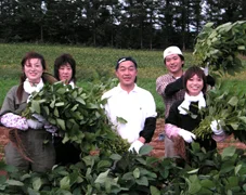 ずんだ茶寮 仙台駅ずんだ小径店（ずんださりょう） - 仙台（和菓子）の写真