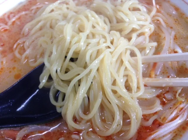 たけちゃんラーメン - 登米市その他（ラーメン）の写真