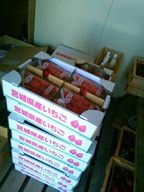 こうちゃん園 - 亘理（その他）の写真