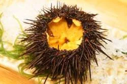 かき小屋 飛梅 仙台駅前店 - あおば通（かき）の写真